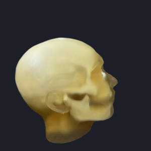 H 11